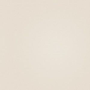 top_bg003